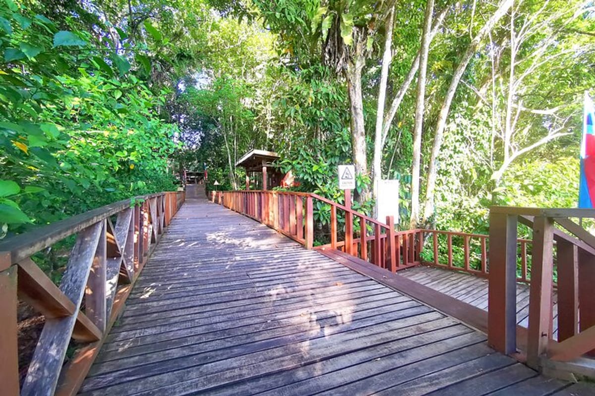 Borneo Ultimate Nature, Wildlife &Island Escape